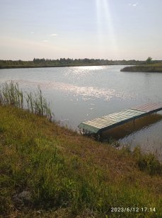 Ладога. Фото 13320.