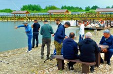 СанниЛэйк. Фото 13362.