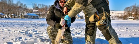 Рыболовная Усадьба. Фото 13374.