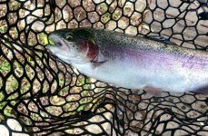 Рыболовная Усадьба. Фото 13395.