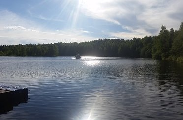 Ситинка. Фото 1343.