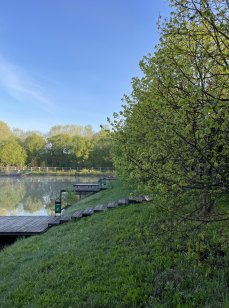 Радищевские пруды. Фото 13451.