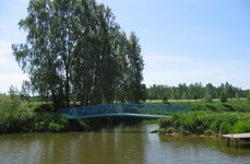 Бритово. Фото 1347.