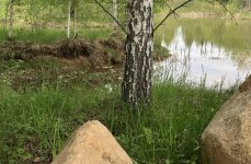 Парк приключений Павлова. Фото 13568.