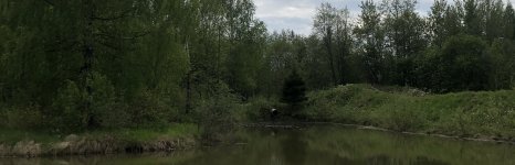 Парк приключений Павлова. Фото 13571.
