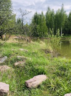 Парк приключений Павлова. Фото 13572.