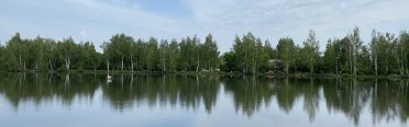 Зеркальный. Фото 13584.