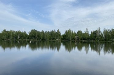 Зеркальный. Фото 13584.