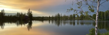 Зеркальный. Фото 13585.