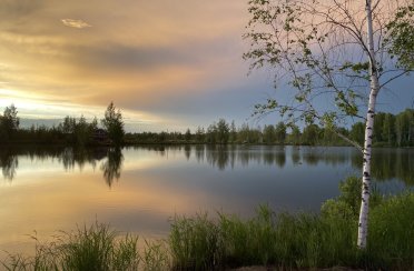 Зеркальный. Фото 13585.