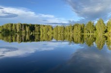 Зеркальный. Фото 13587.