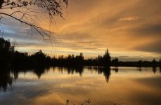 Зеркальный. Фото 13594.
