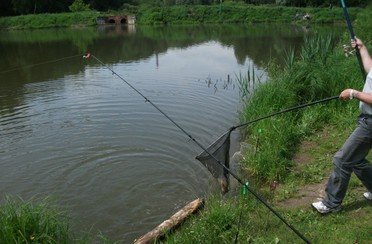 Красногорское. Фото 1366.