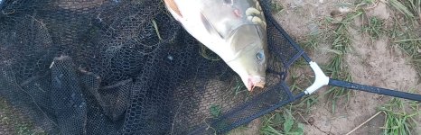 Рыбалка и отдых у Иваныча. Фото 13696.