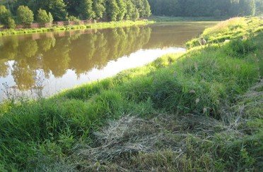 Красногорское. Фото 1370.