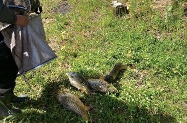 Рыбалка и отдых у Иваныча. Фото 13703.