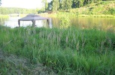 Красногорское. Фото 1371.