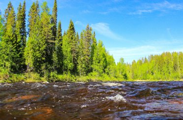 Рыболовные туры на хариуса. Фото 13744.