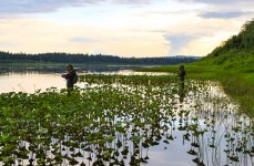 Рыбалка на щуку и хариуса в Архангельской области. Фото 13759.