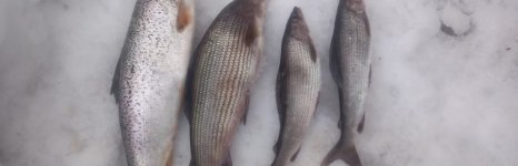 База  отдыха на озере Товское. Фото 14054.