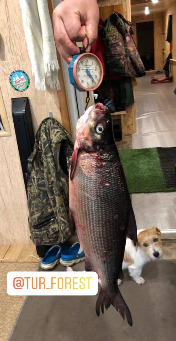 Рыболовный тур. Фото 14078.