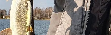 Ихтиолог. Фото 14133.