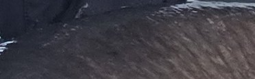 Рыбалка с гидом в Самаре. Фото 14143.