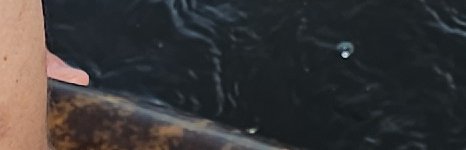 Рыбалка с гидом в Самаре. Фото 14144.