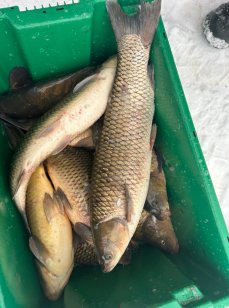 Рыбалка и Отдых у Иваныча. Фото 14161.