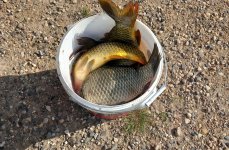 Рыбалка и Отдых у Иваныча. Фото 14178.