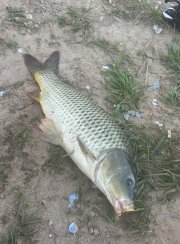 Рыбалка и Отдых у Иваныча. Фото 14179.