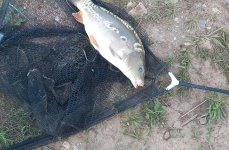 Рыбалка и Отдых у Иваныча. Фото 14181.