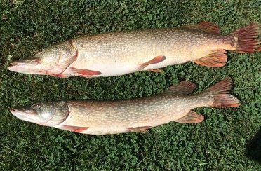 Fishing 30. Фото 1426.