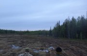 Экспедиция на озеро Товское Архангельская область. Фото 14276.