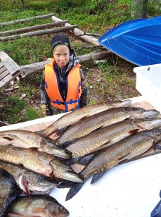 Экспедиция на озеро Товское Архангельская область. Фото 14295.