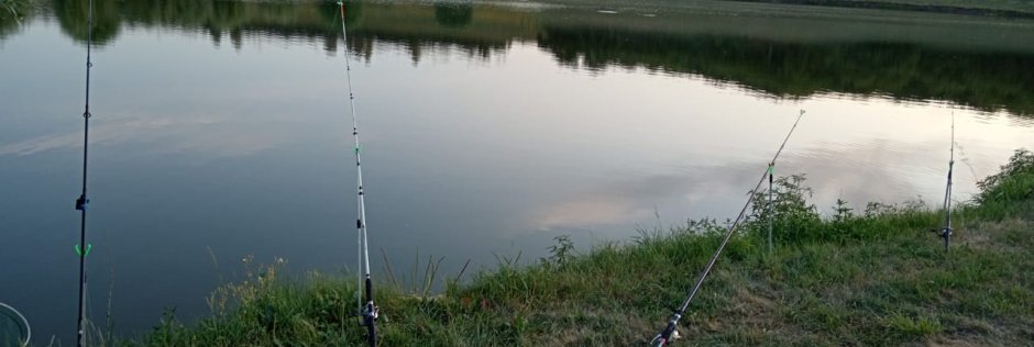 Ростовец. Фото 14303.