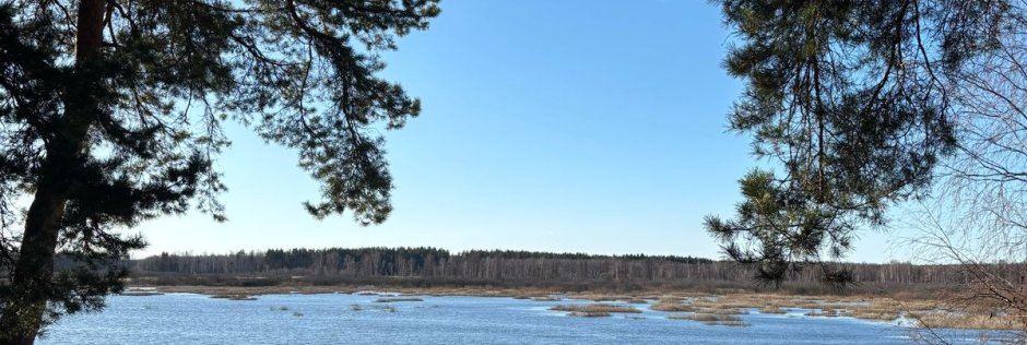 Яламия. Фото 14316.