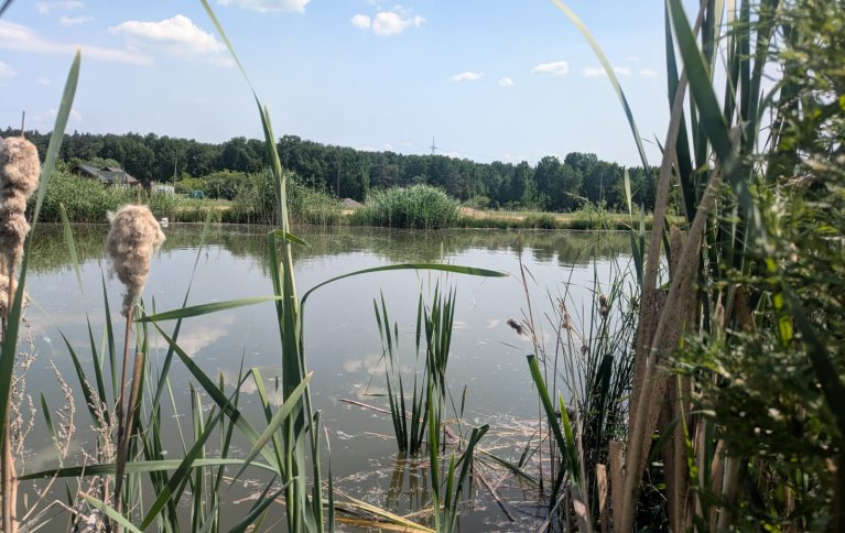Казанцево Казанцево