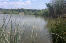 Казанцево. Фото 14334.