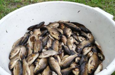 Казанцево. Фото 14340.