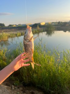 Казанцево. Фото 14344.