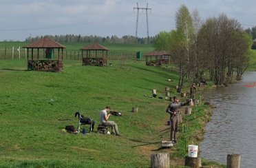 Новоселки. Фото 1436.