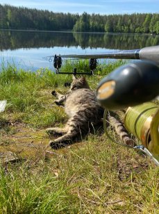 Рыбалка в Коваши. Фото 14360.