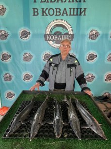 Рыбалка в Коваши. Фото 14365.