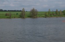 Новоселки. Фото 1438.
