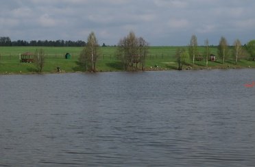 Новоселки. Фото 1438.