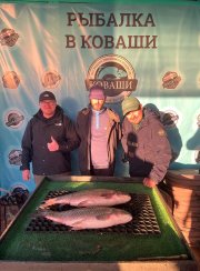 Рыбалка в Коваши. Фото 14393.