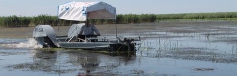 Бакланёнок. Фото 1444.