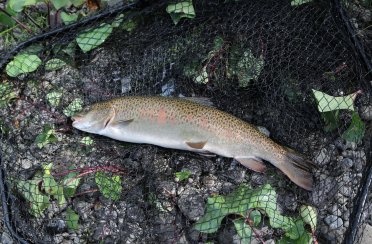 Рыболовная база "Путоранский рубеж". Фото 14451.