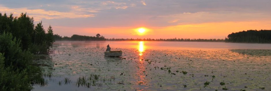 Озеро Тенис. Фото 14609.